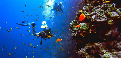 Best Bali Snorkeling Sites Also For Scuba Diving Aatw