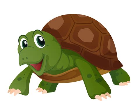 Cute Turtle With Happy Face Download Free Vectors