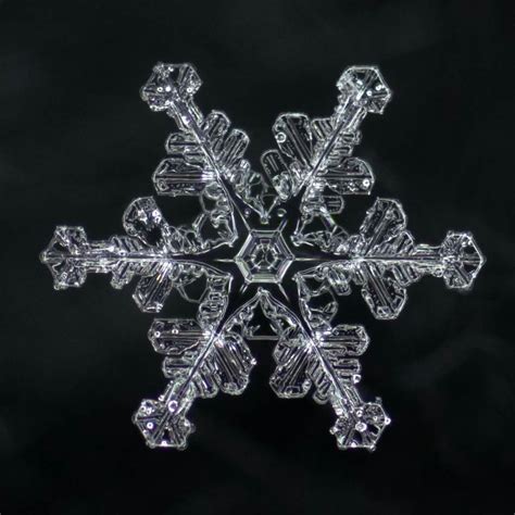 These Are The Highest Resolution Photos Of Snowflakes Ever Captured