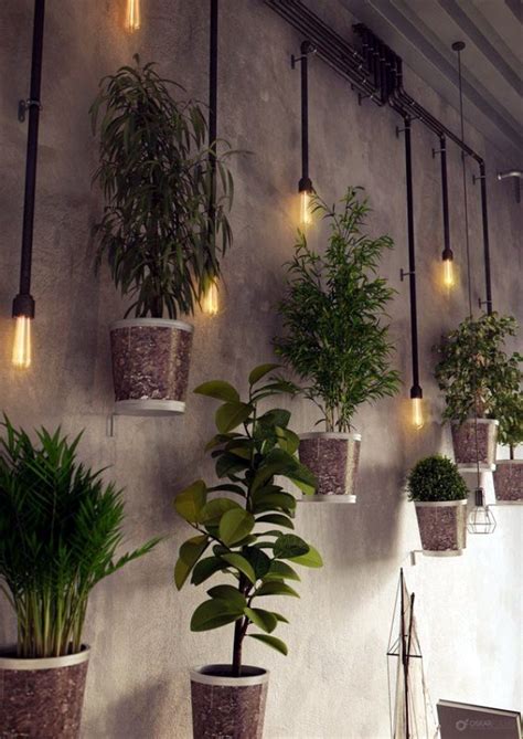 So Perfect Wall Hanging Plant Decor Ideas