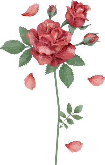 Vinilo De Flor Rosa Roja Tenvinilo