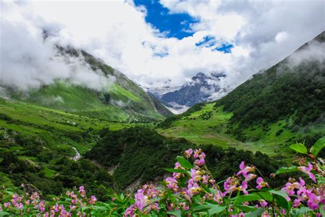 Valley Of Flowers Ein Abgelegenes Tal Das Nicht Nur Botaniker