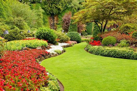 Fast Growing Shade Trees Millcreek Gardens