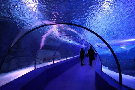 Antalya Aquarium Bahadir Kul Architects