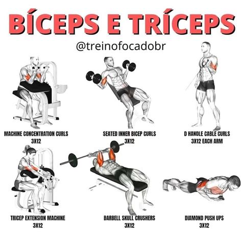 Consultoria Esportiva on Instagram Salve o post Ótimos exercícios para Bíceps eTríceps