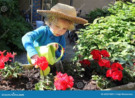Young Child Watering The Flowers In The Garden Editorial Image Image