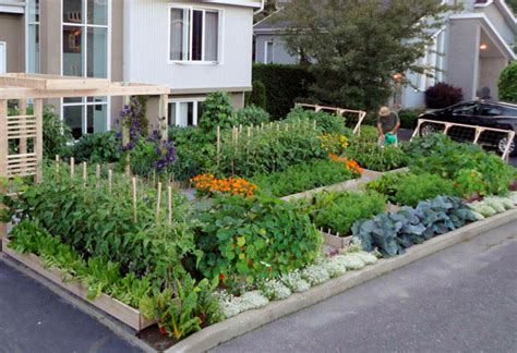 Urban Vegetable Garden Design Hawk Haven