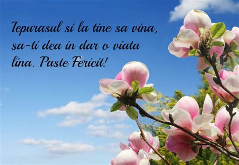 Fie ca aceasta sarbatoare sa va aduca multa. Imagini de Paste - Cele mai frumoase imagini si mesaje de ...