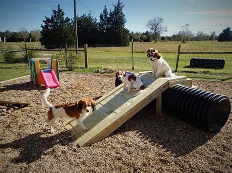 New Puppy Play Yard Waterbound Kooikerhondje Dog Playground Dog