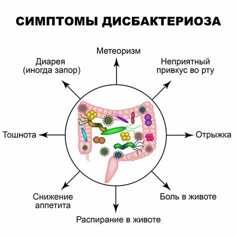 Дисбактериоз кишечника симптомы лечение диета Дисбактериоз (дисбиоз) кишечника: симптомы, лечение, анализ, признаки Дисбактериоз (дисбиоз) кишечника: симптомы, лечение, анализ, признаки Дисбактериоз кишечника симптомы лечение диета