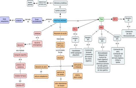 Cuales Son Las Funciones Del Mapa Conceptual Geno Ima