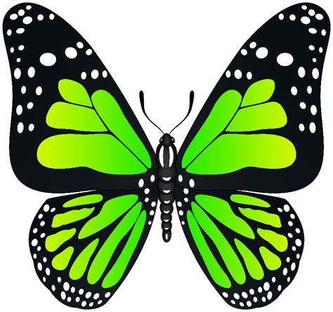 Download High Quality butterfly clip art green Transparent PNG Images png image