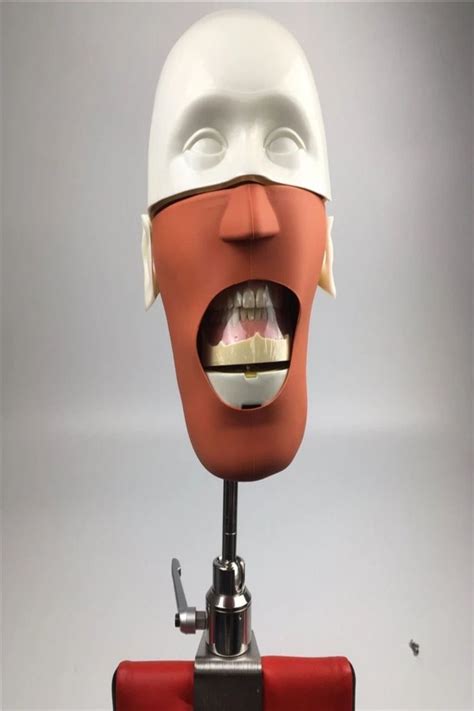 Nissin Dental Manikins Phantom Head Models For Dental Education Dental