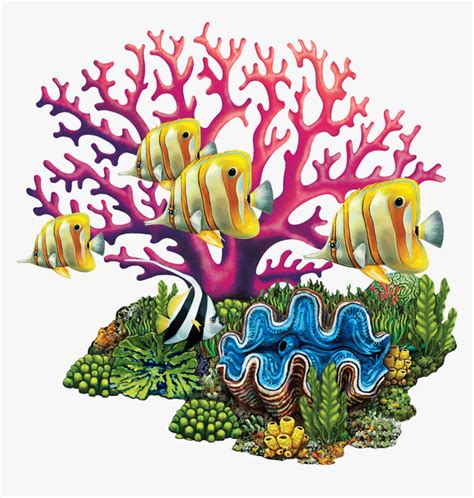 Transparent Coral Reef Cartoon All Coral Clip Art Are Png Format And