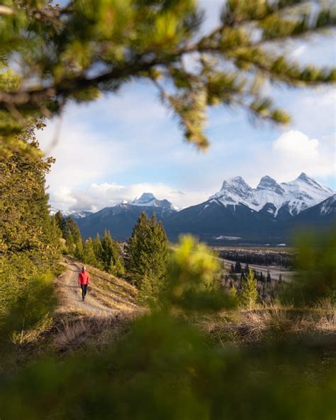 4 Wildlife Safety Tips For Your Next Trip To Canmore And Kananaskis