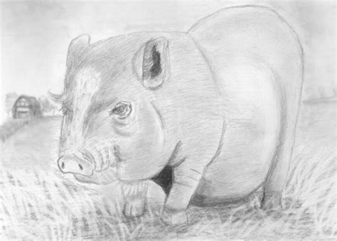 Learn How To Draw Portraits Of Domestic Animals In Pencil For The Abso