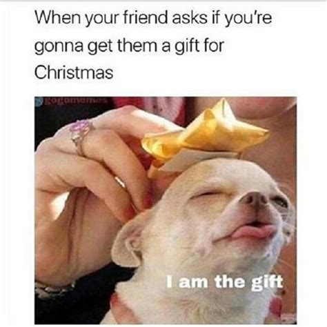 24 Christmas Memes To Make You Lol Funny Gallery Ebaums World