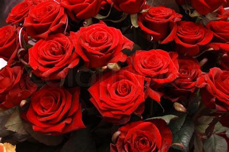 Images Of Red Roses Bunch