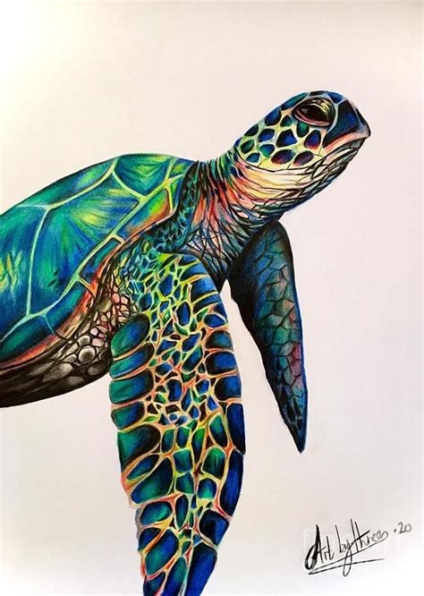 Sea Turtle Drawing Sea Turtle By Art By Three Sarah Rebekah Rachel White Sea Turtle Art