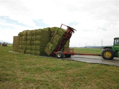 Welcome To Lucerne Alfalfa Hay Bales For Sale Co Ltd Farmers And