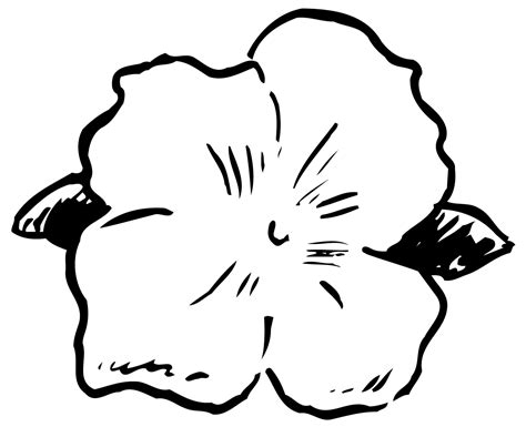 Tropical Flower Coloring Pages Flower Coloring Page