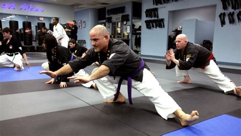 Adult Martial Arts Art Beins Karate