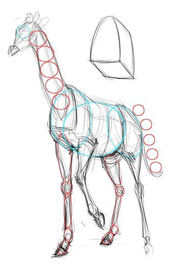 La girafe est un drôle animal,avec son long cou, elle peut voir au dessus des arbres. Comment dessiner une girafe en 2020 | Dessin, Comment dessiner une girafe, Girafe dessin