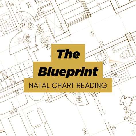 Four Career Indicators in the Natal Chart | Divine Feminine Works