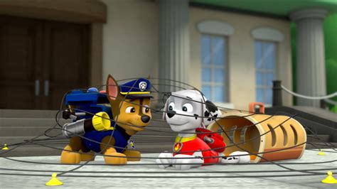 Pups Save A Bat Paw Patrol Wiki