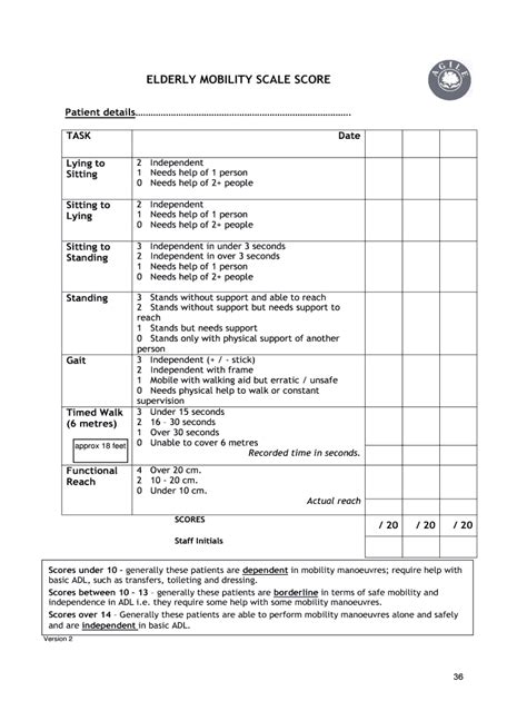 Elderly Mobility Scale Fill Out And Sign Online Dochub