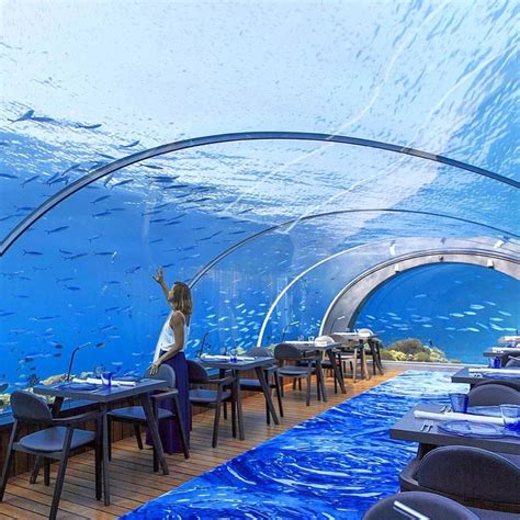 Underwater Restaurant Underwater World Finned Snorkeling Maldives