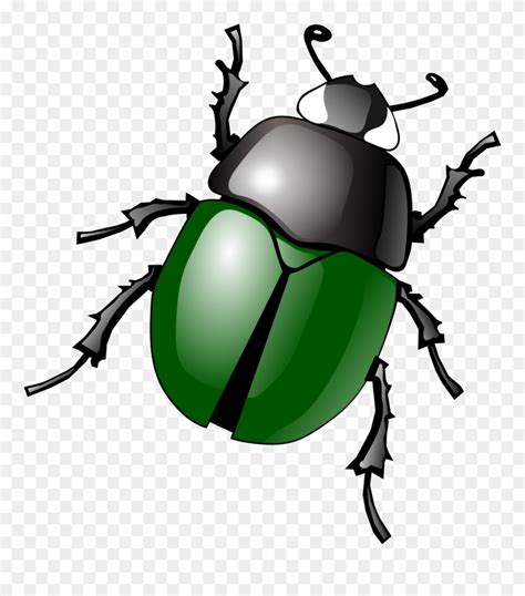 Library Of Clipart Transparent Downloads Insect Png Files