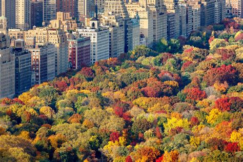 Your Guide To 28 Amazing Things To Do In Nyc In Fall 2024