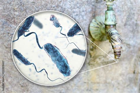 Safety Of Drinking Water Concept 3d Illustration Showing Bacteria