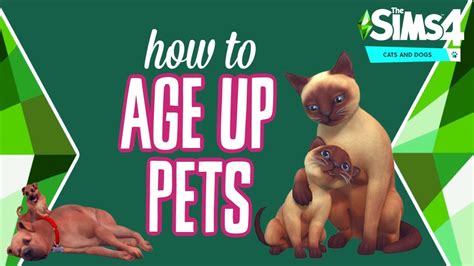 How to AGE UP PETS in The Sims 4: Cats & Dogs 🐱🐶 - YouTube