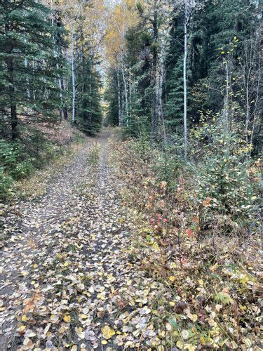 Best Hikes And Trails In Fort Assiniboine Sandhills Wildland Provincial