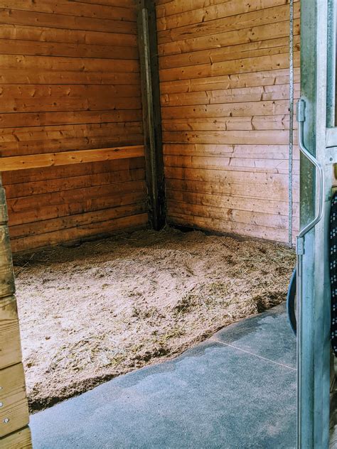 How To Clean Your Horses Stall Perfectly In 8 Easy Steps The Flaxen