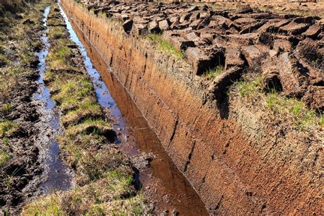 The Significance Of Peat In Whisky Whisky Investment