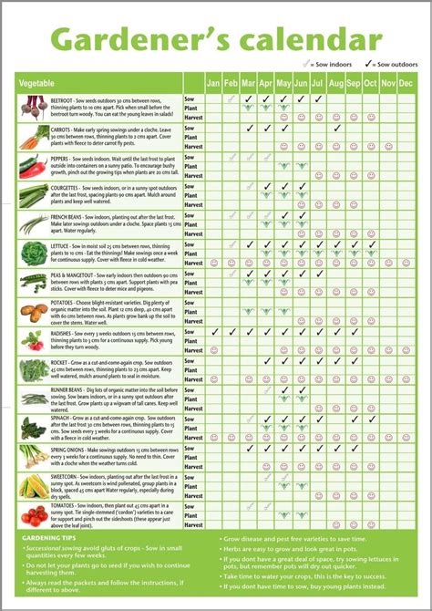 When To Plant Vegetables Calendar