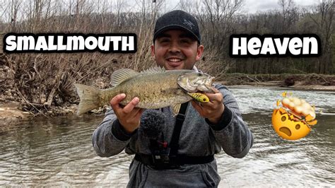 There are different kinds of bass; Smallmouth Bass Fishing HEAVEN! - I Revealed My HONEY HOLE ...