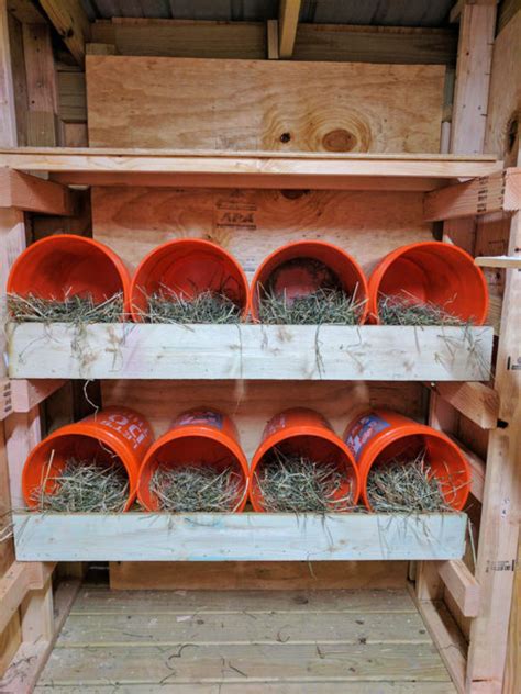 50 Surprising Chicken Nesting Box Ideas Backyard Poultry