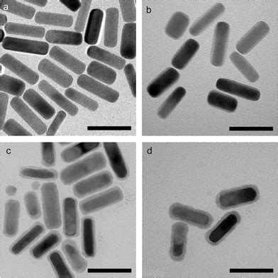 Preparation And Optical Properties Of Silver Chalcogenide Coated Gold Nanorods Journal Of