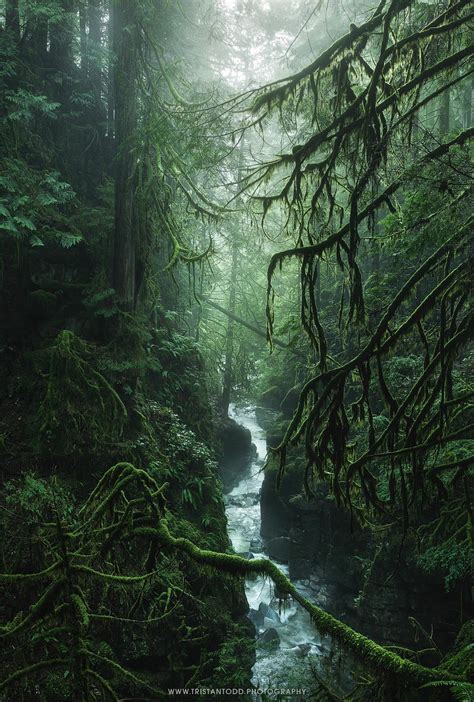 A Beautiful Rainforest Canyon In Southern British Columbia Oc