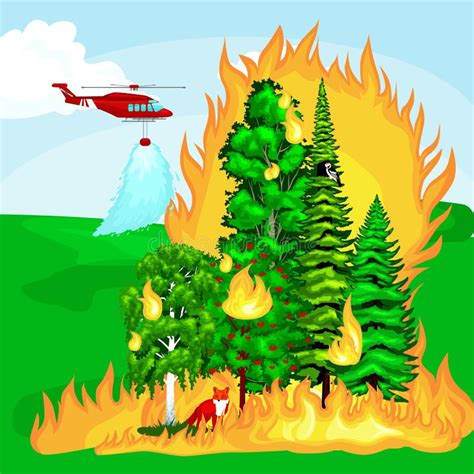 Forest Fire Fuego En El Daño Del Paisaje Del Bosque Desastre De La