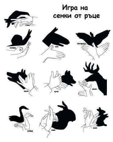 Use your hands to make animals shadows and amuse your little ones tonight. Cool shadow puppets | Sombras de animales, Sombras con las ...