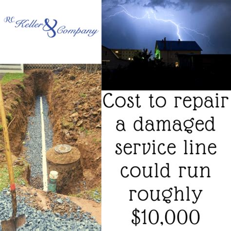 To make matters worse, most homeowners insurance policies do not cover these repairs. Tree Roots in Your Sewer Line? Does Insurance Cover That? - R.C. Keller & Company