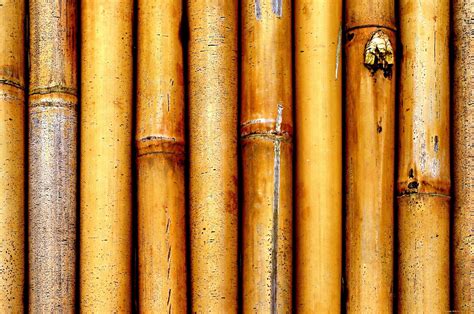 Bamboo Wood Backgrounds Wallpaper Cave
