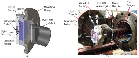 A Schematic Of The Liquid Capsule Assembly And B A Labelled