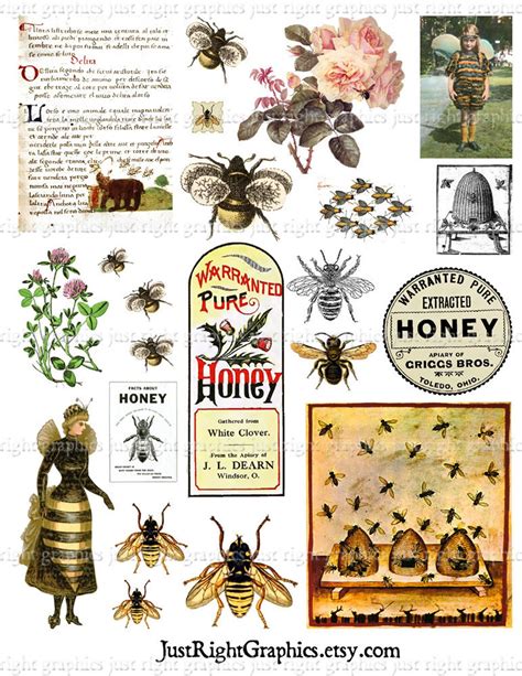 Vintage Bees Clip Art Digital Collage Sheet Art Journal Vintage Bee