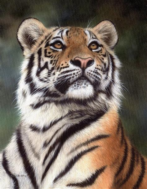 Tiger Painting Painting By Rachel Stribbling